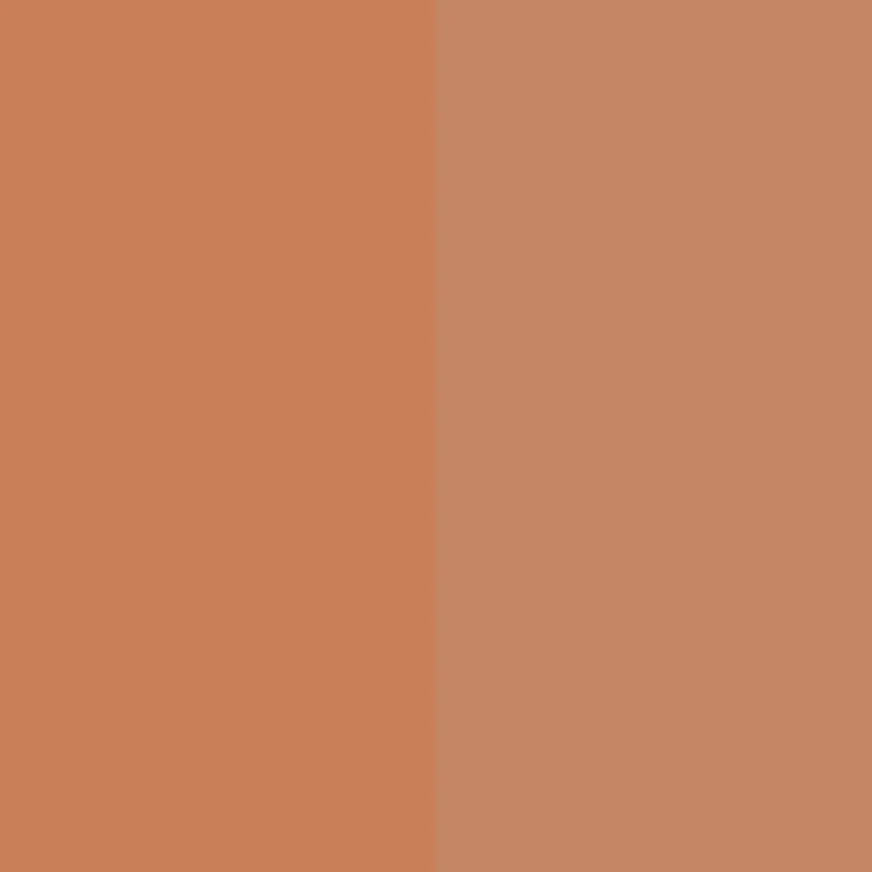 Ever Bronze Compact Powder - Image 6